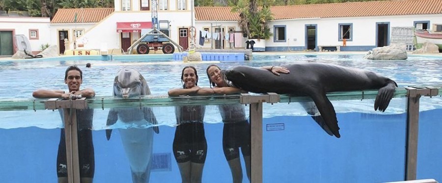 Zoo de Lisboa delfines